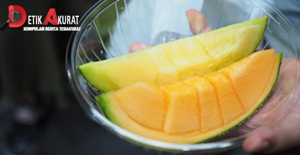 Buah Melon, Camilan Sehat yang Kaya Vitamin