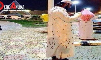 fenomena-aneh-kelompok-serangga-menginvasi-masjidilharam-makkah