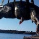 keterlaluan-22kg-plastik-ditemukan-di-perut-paus-hamil